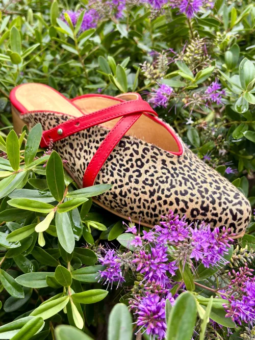 Puntilla Pipa Rojo-Print